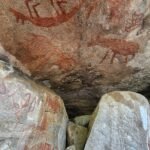 Prehistoric rock paintings of Kangaroo and Rhinoceros found in Sircilla