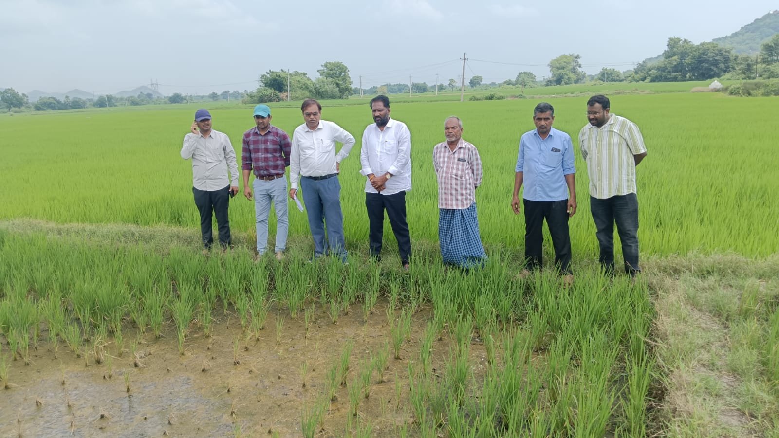 Agri. Scientists