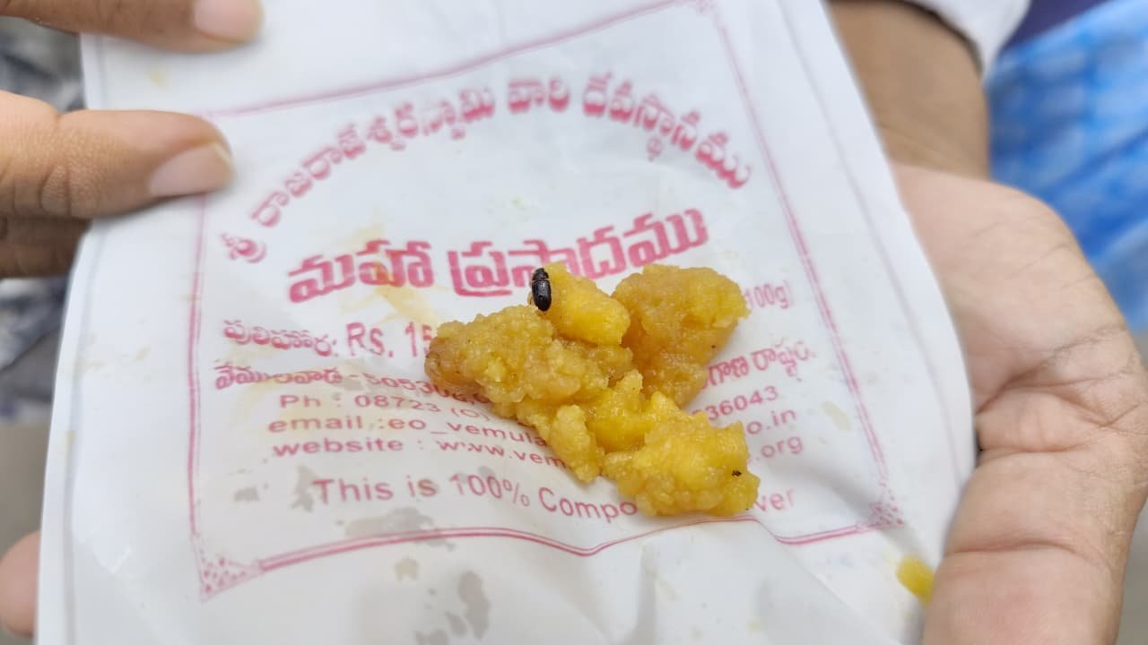 Laddu Prasadam