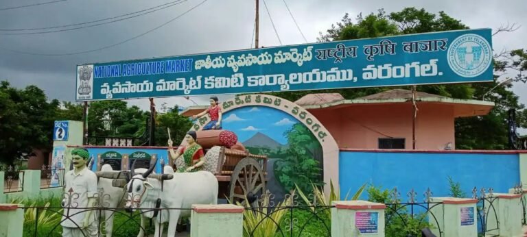 Agricultural Market