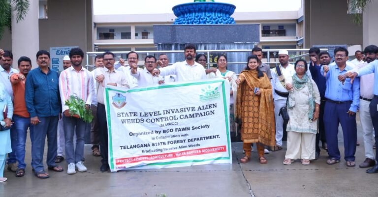 Collector Garima Agarwal